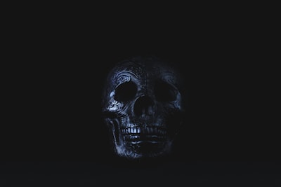 silver-colored skull accessory on black surface day of the dead google meet background