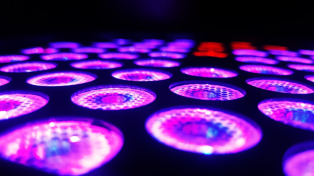 purple LED light