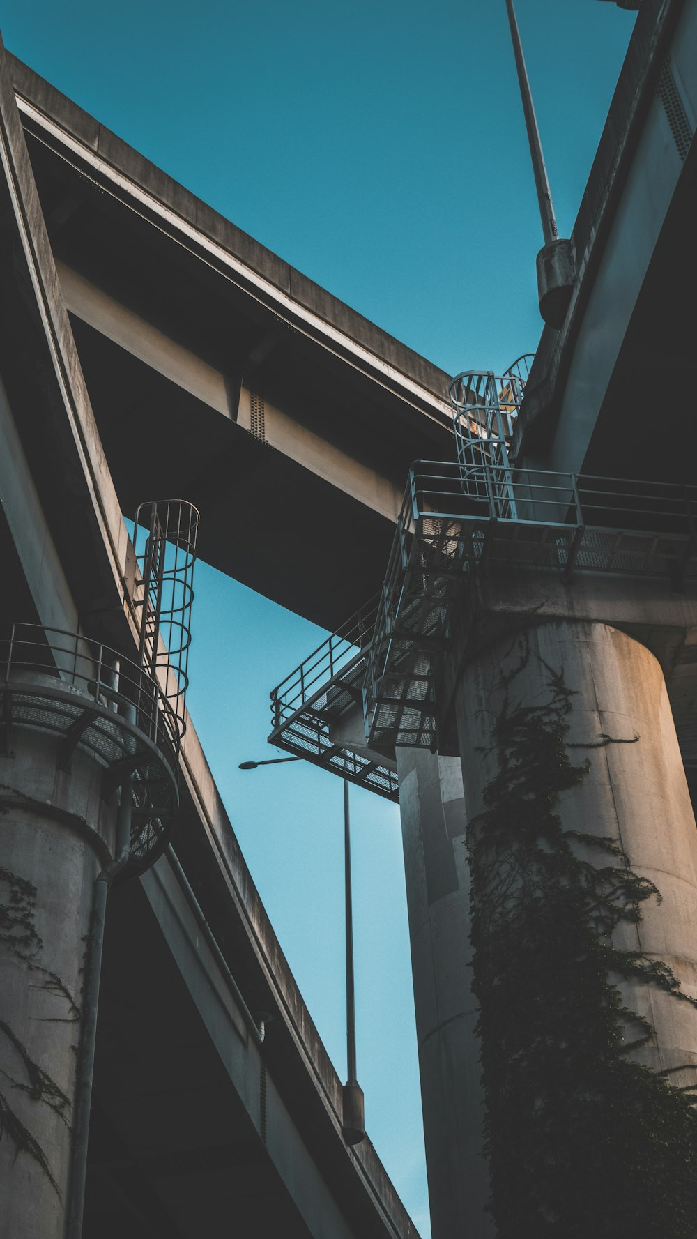 brown concrete bridge