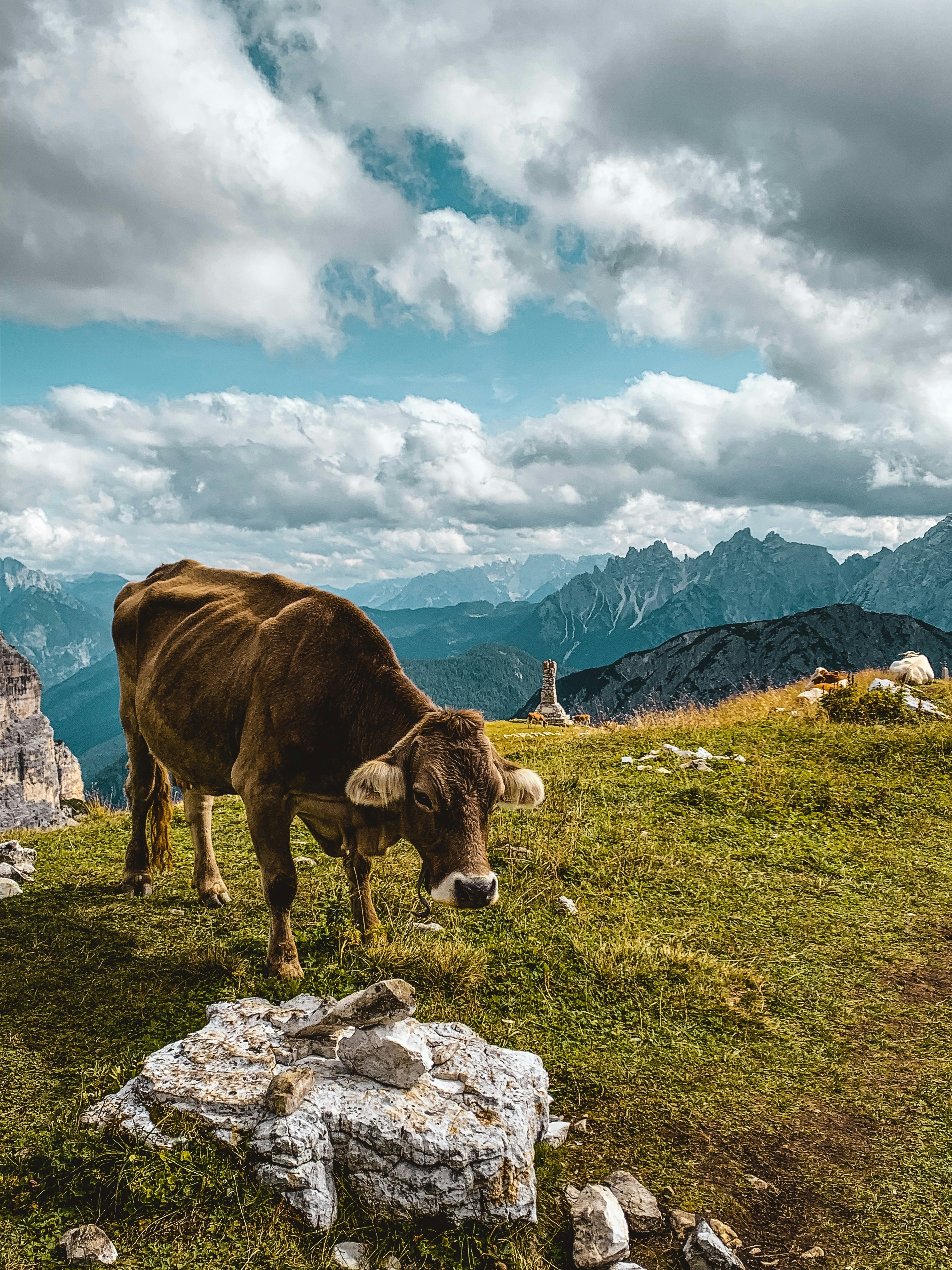 Photo by maxiismyname