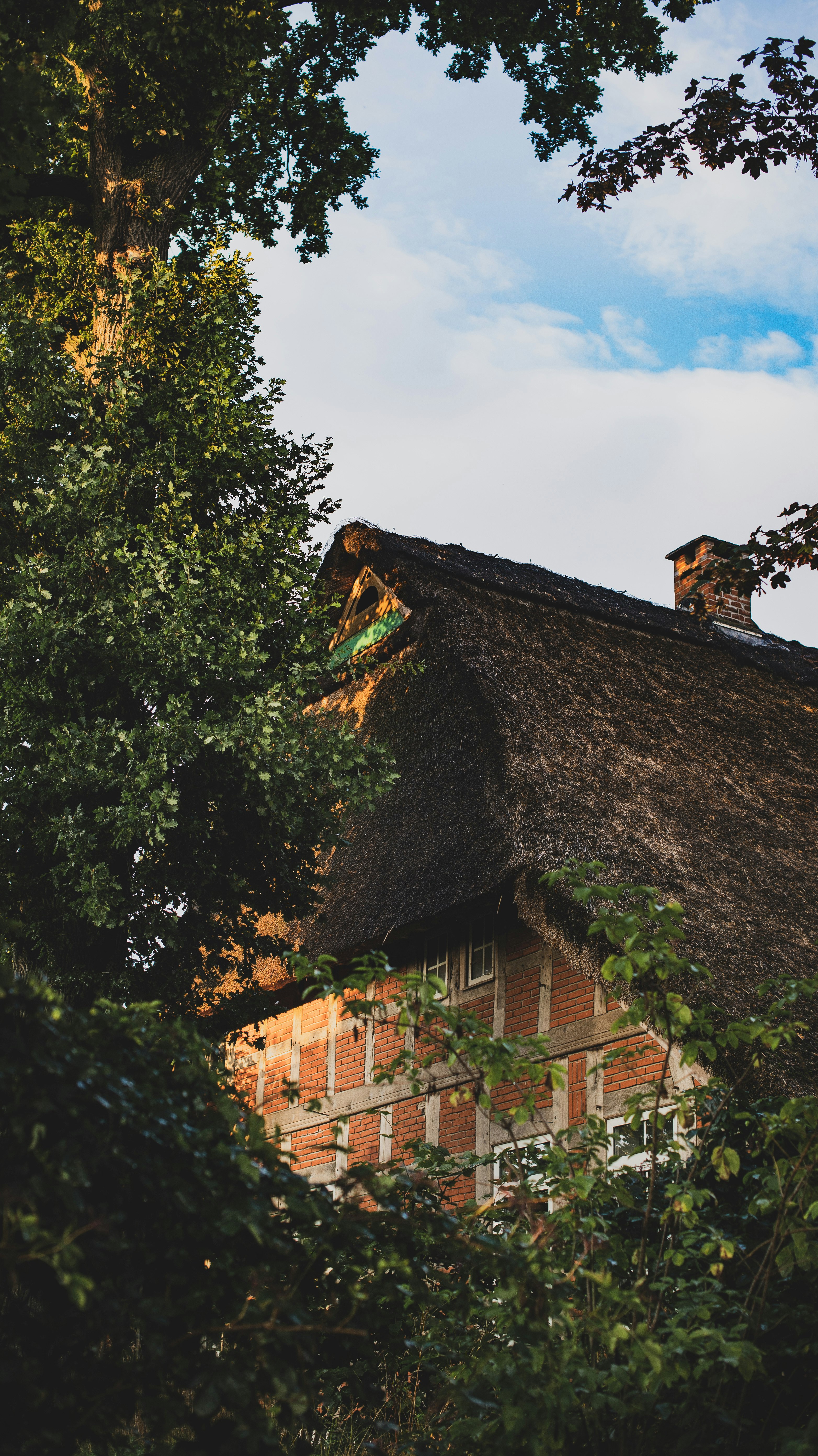 three behind house during daytime