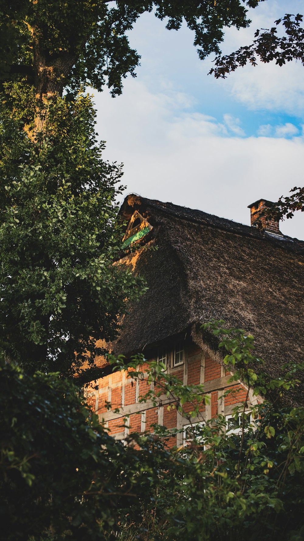 three behind house during daytime