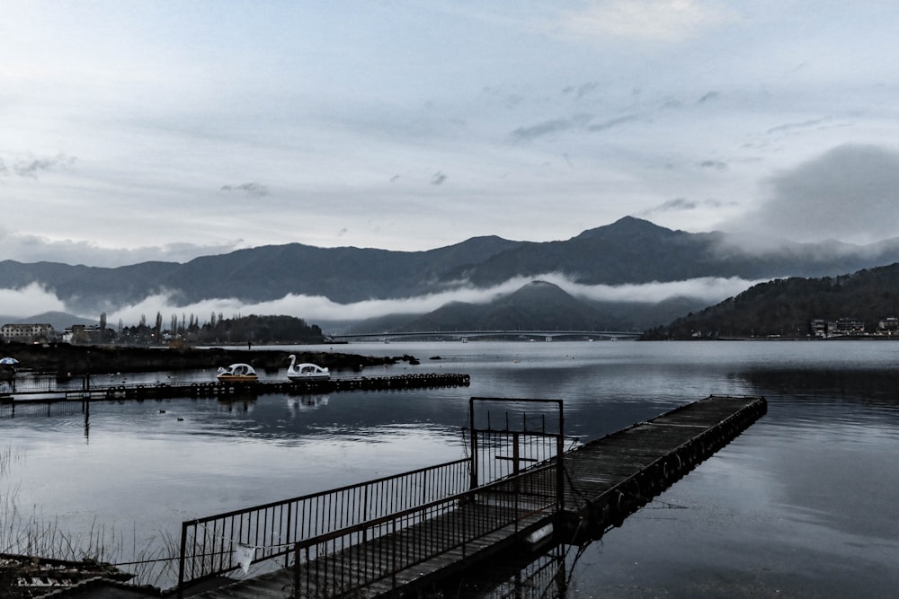 brown wooden dock with gate on body of water