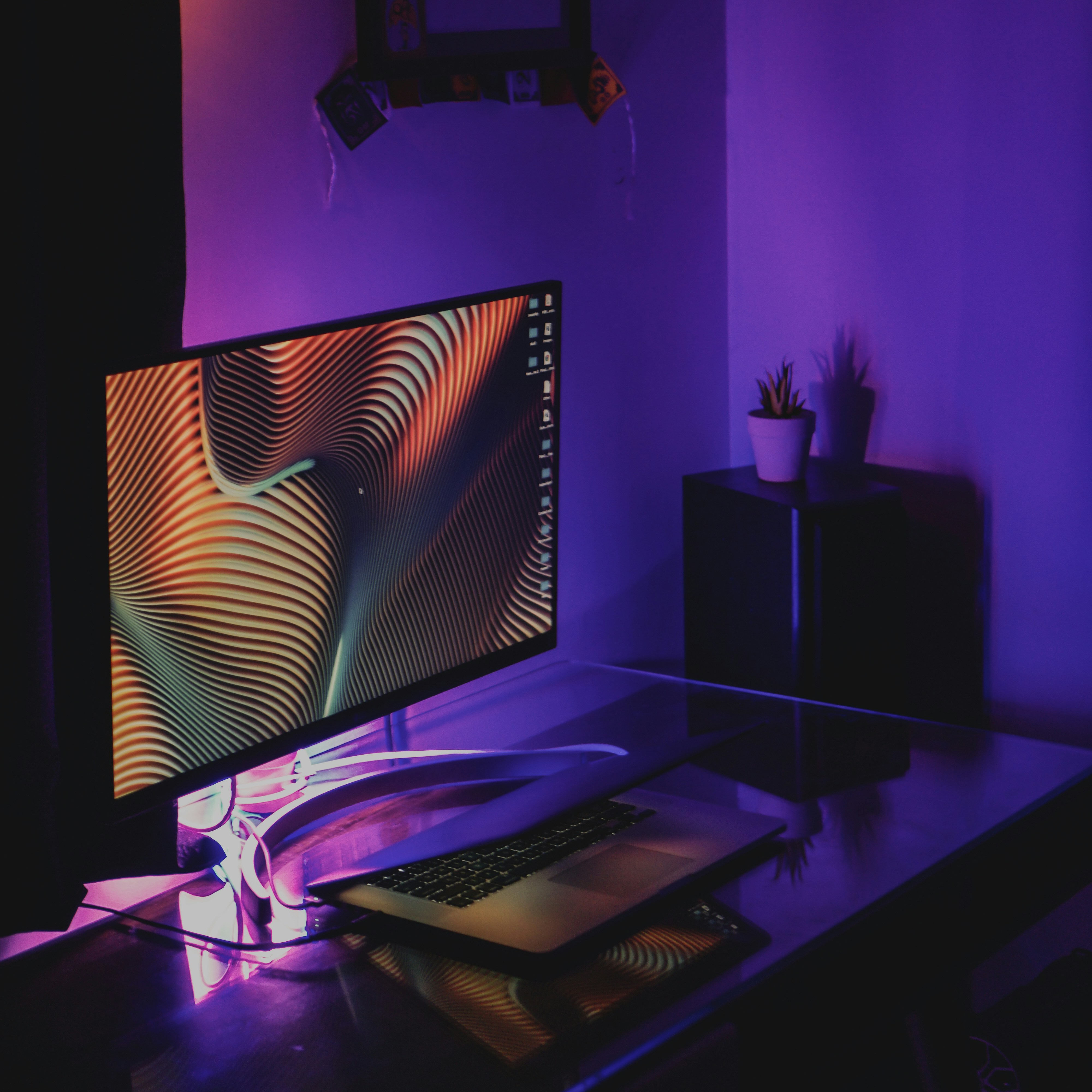 Photo by hellobeekay