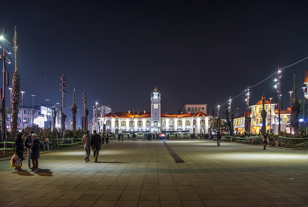 white and brown building at night time