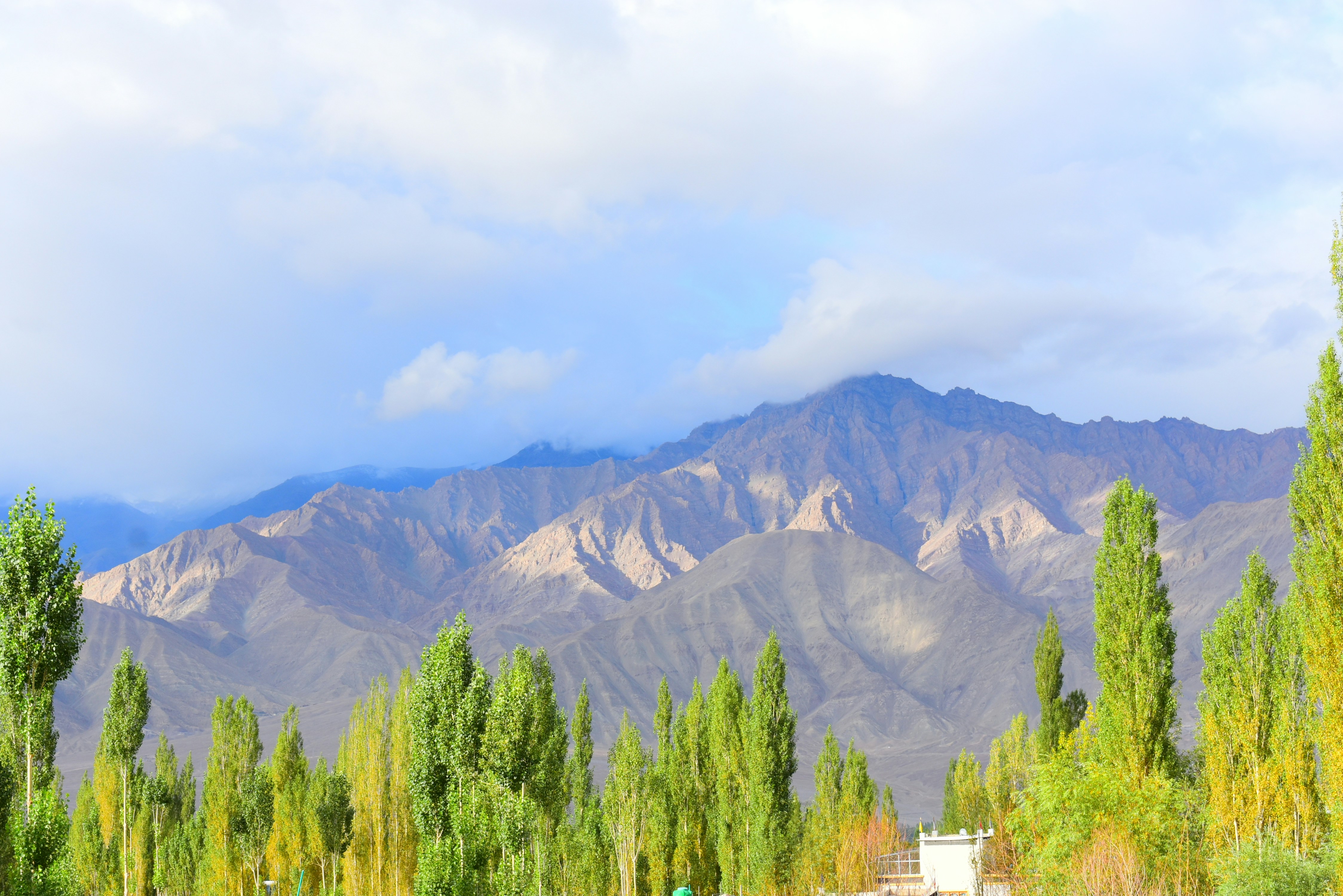 Photo by aksangai