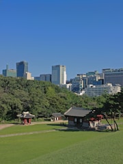 A traditional Korean building is situated in a lush green park, bordered by tall trees. In the background, modern skyscrapers are visible under a clear blue sky, demonstrating a blend of traditional and contemporary architecture.
