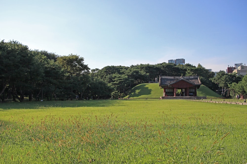 green grass field and brown concrete gazebo