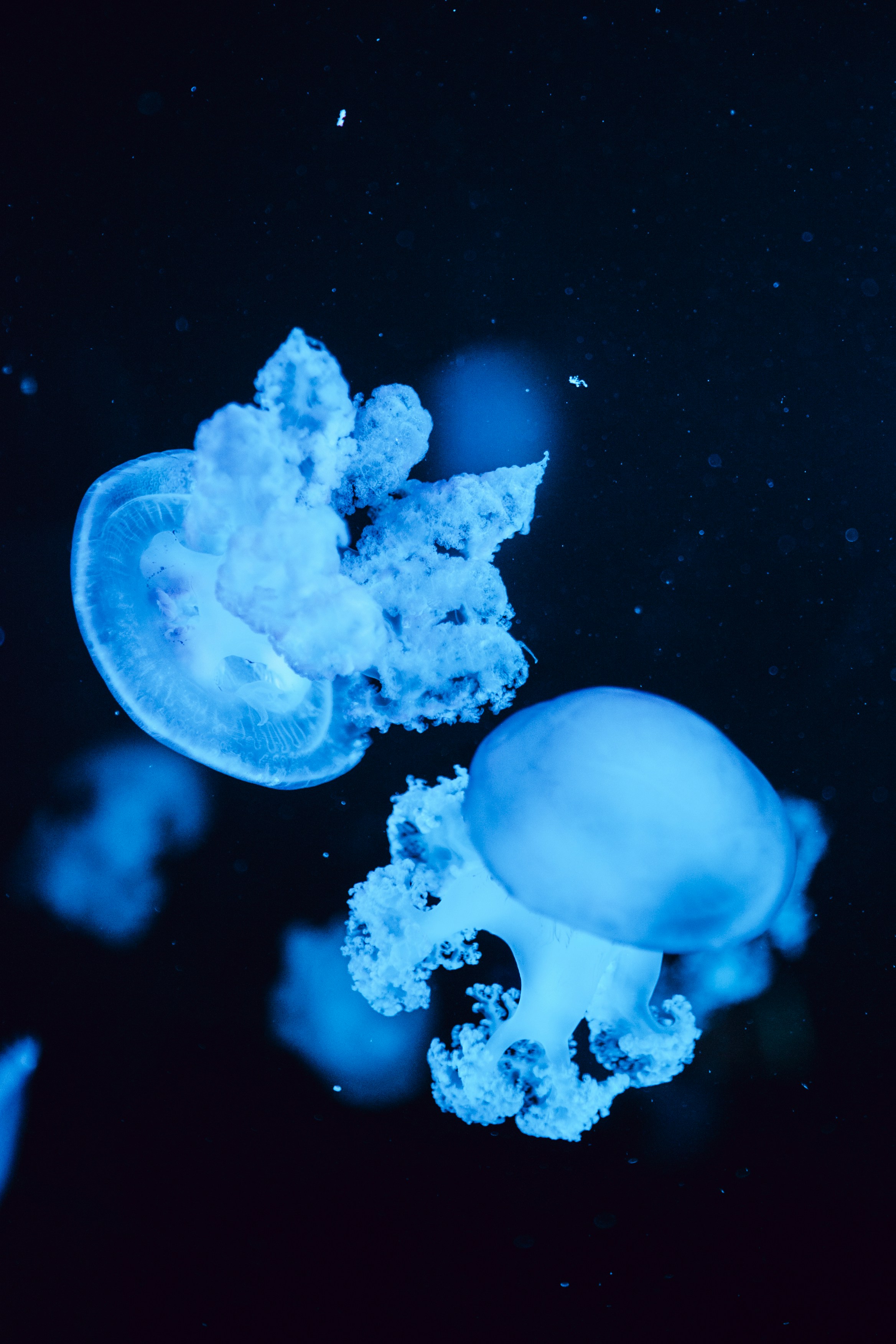 Photo by m0ther_0f_memes