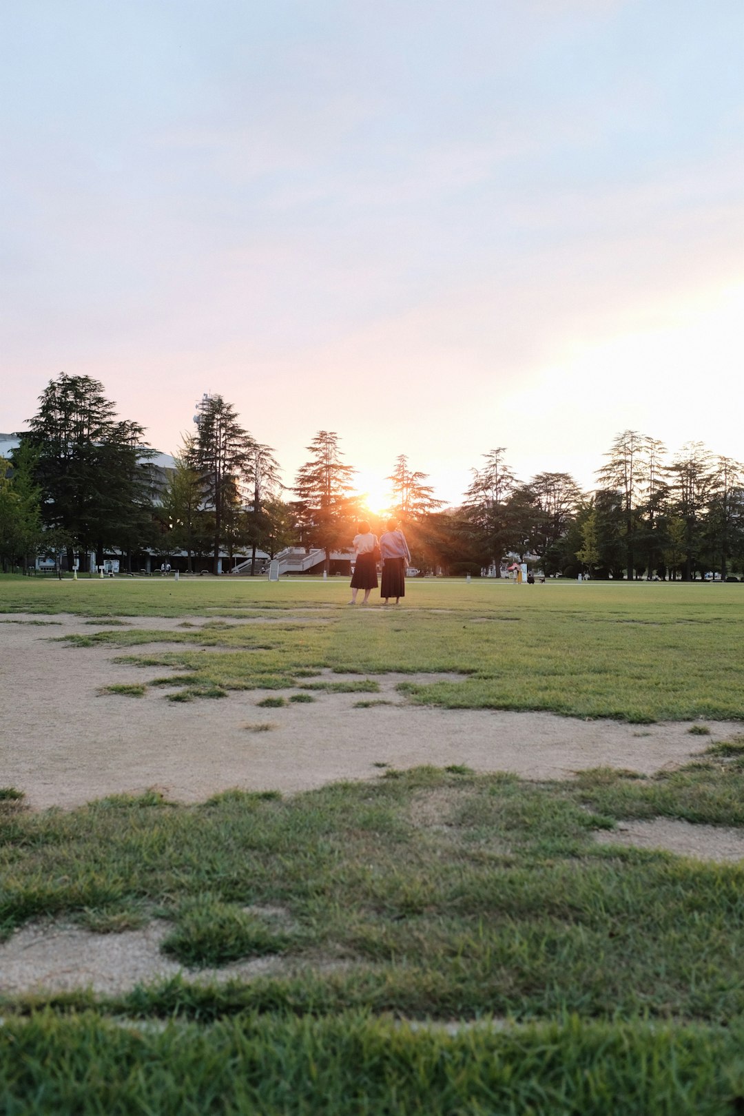 green grass field during daytime