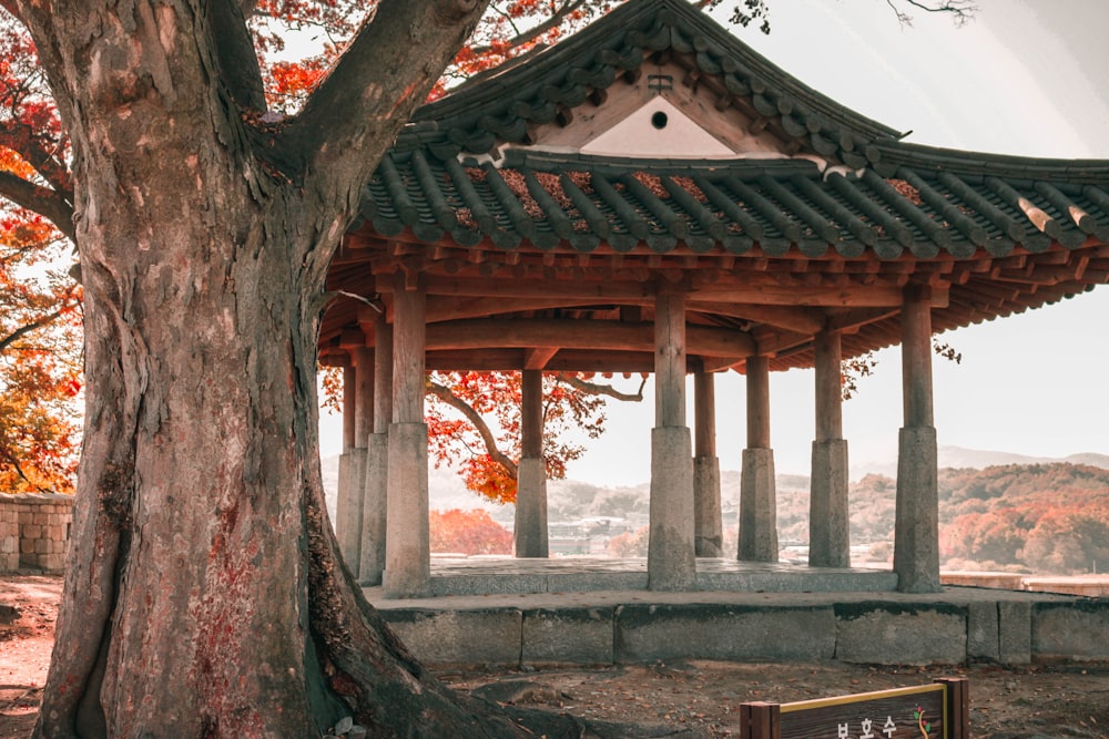 gazebo near large tree