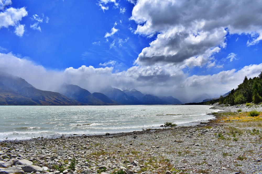 body of water near shore