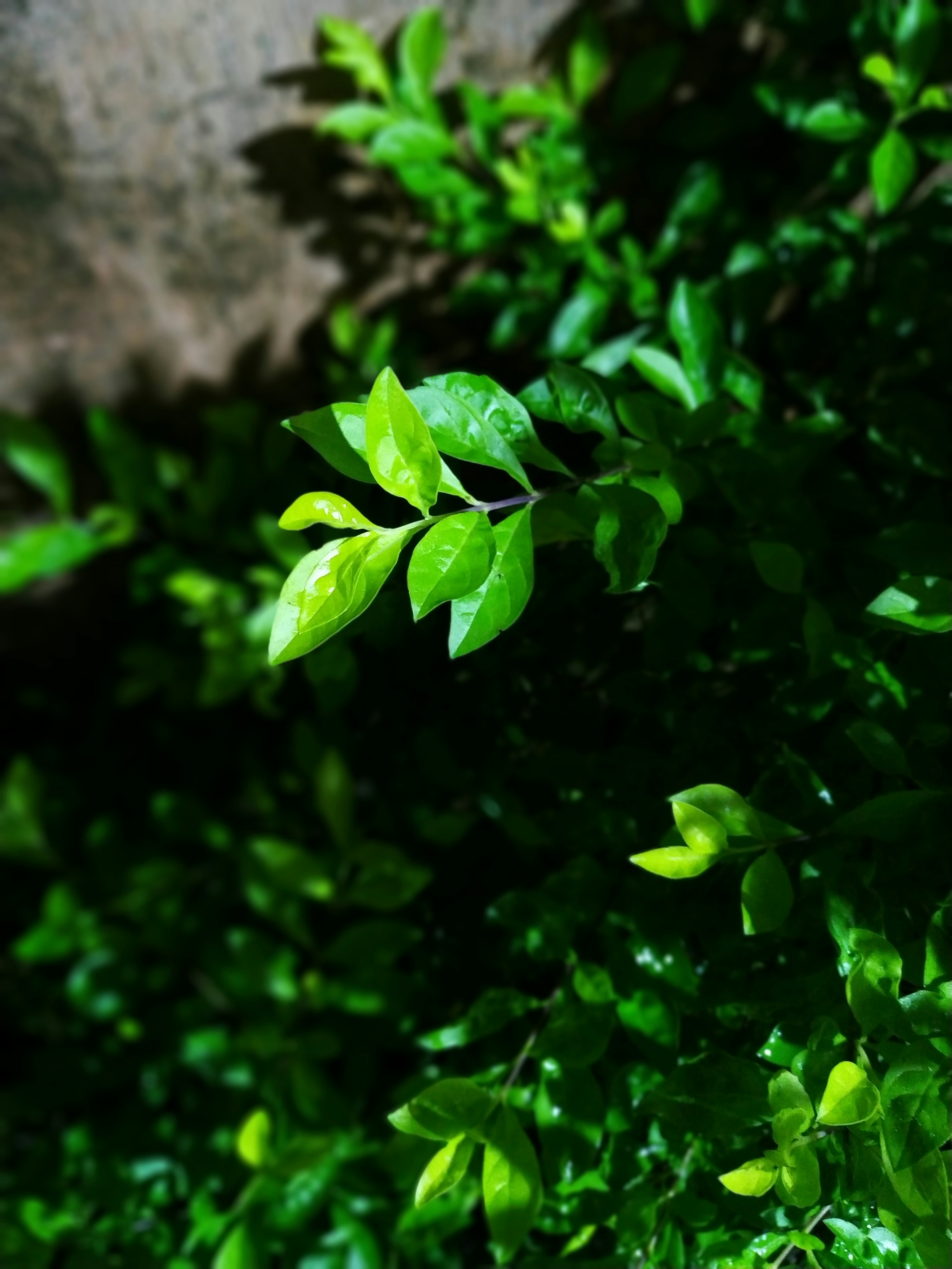 Photo by chinmay1291