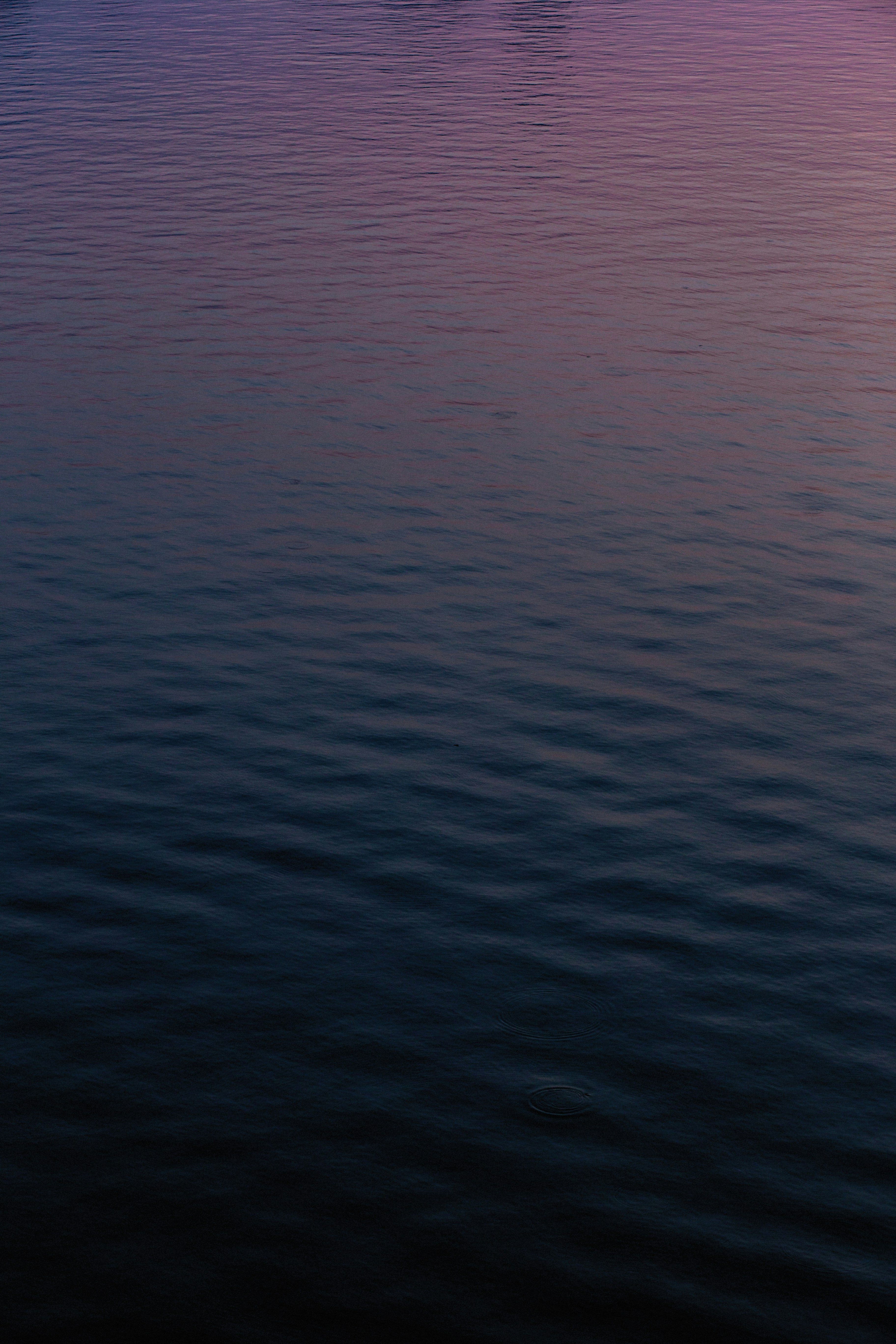 Photo by vinomamba24