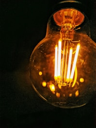 lighted light bulb