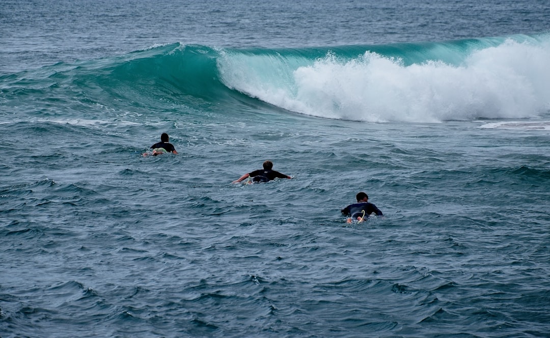 three men playing surfboarding during daytime