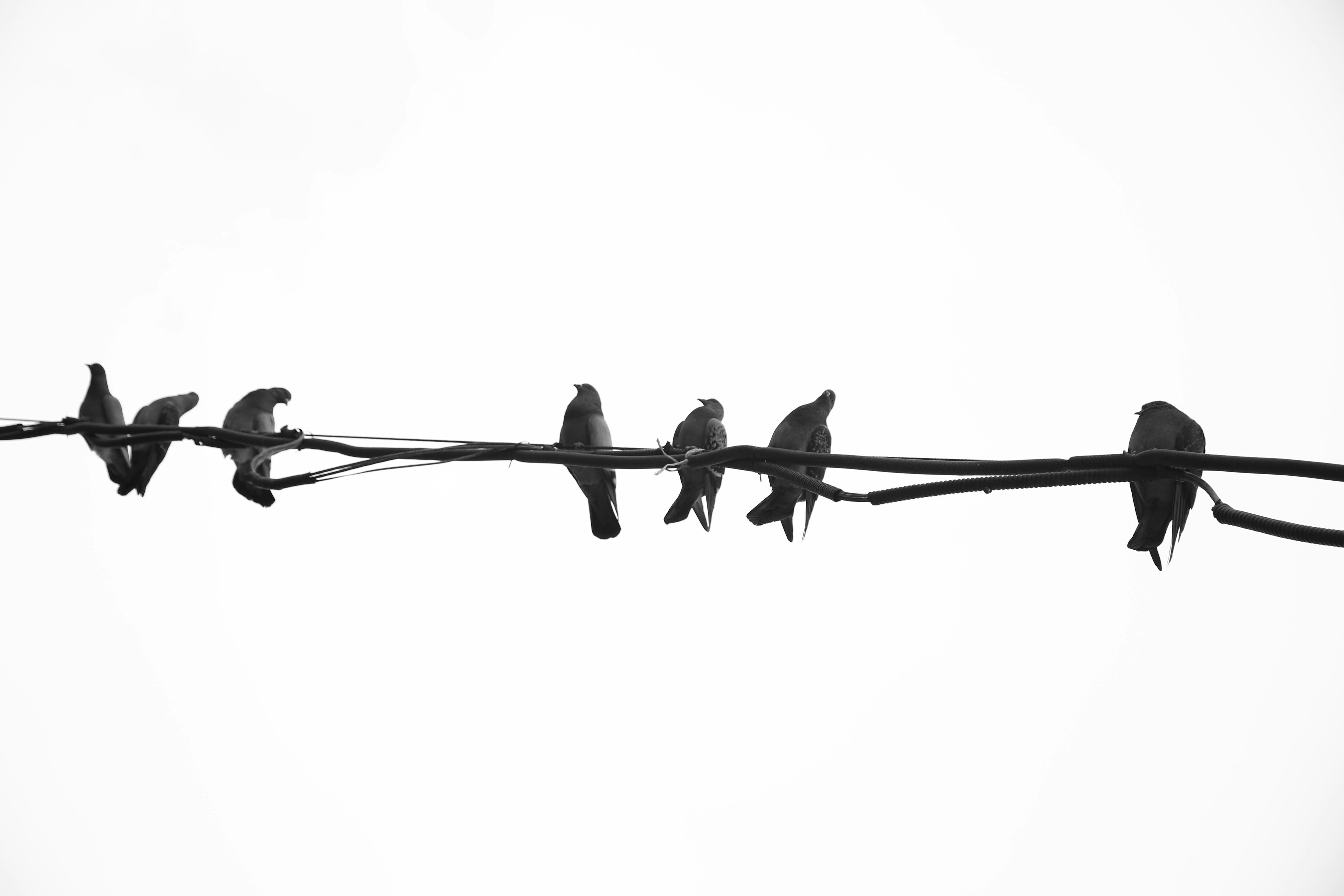 Photo by parizad_shojaei