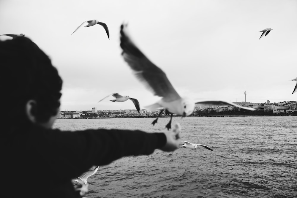 a black and white photo of seagulls flying over a body of water