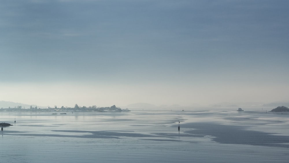 a large body of water with a bird standing on top of it