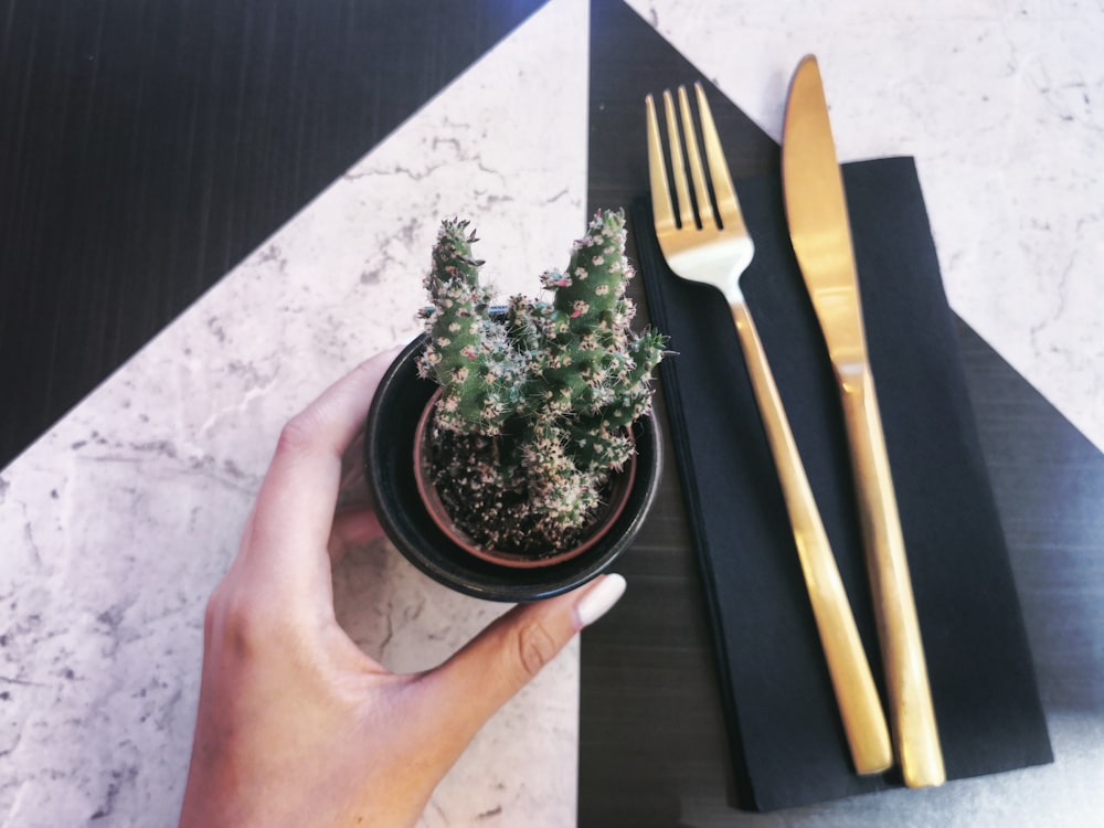 person holding plant pot