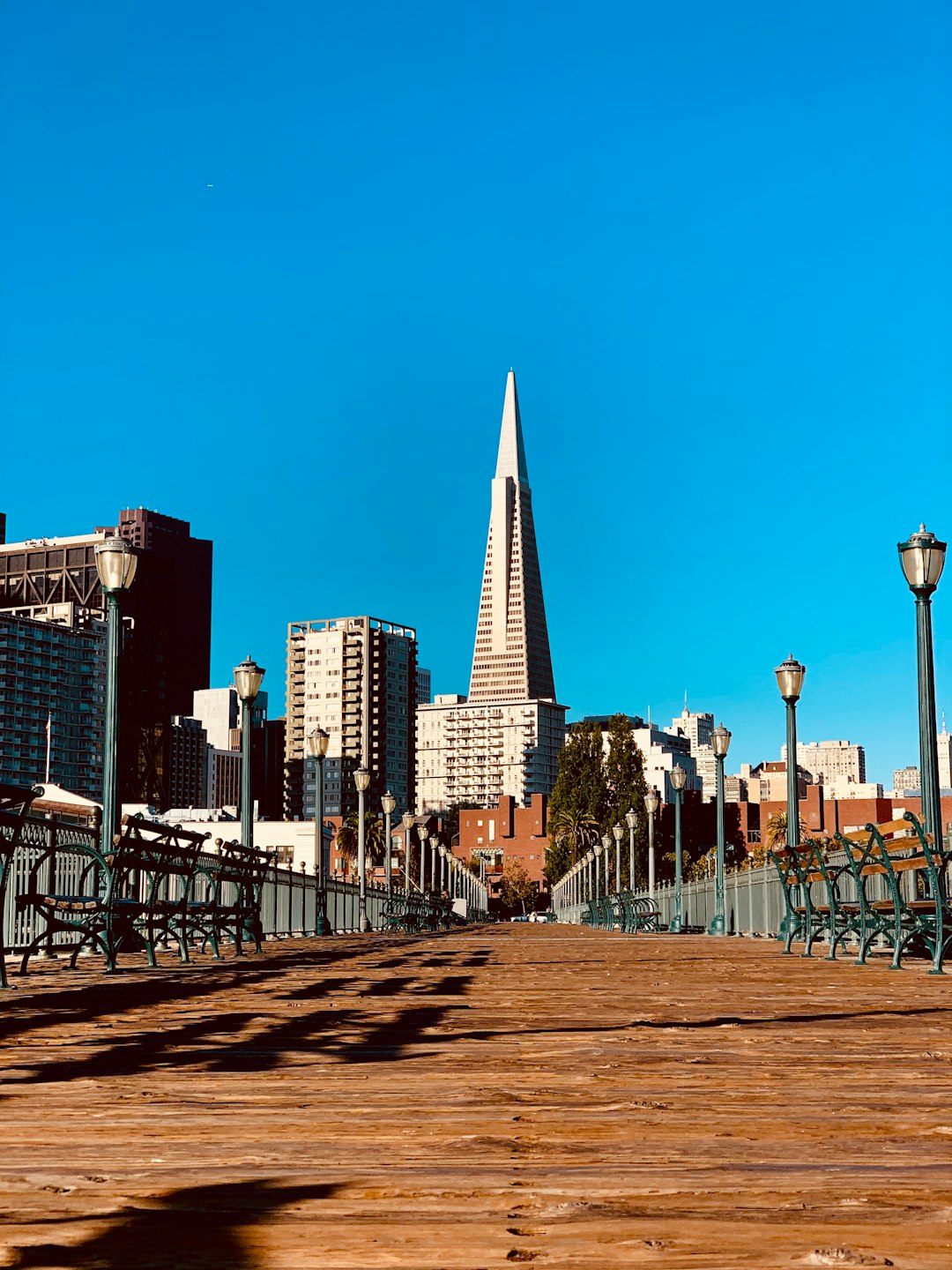 brown dock near high-rise building