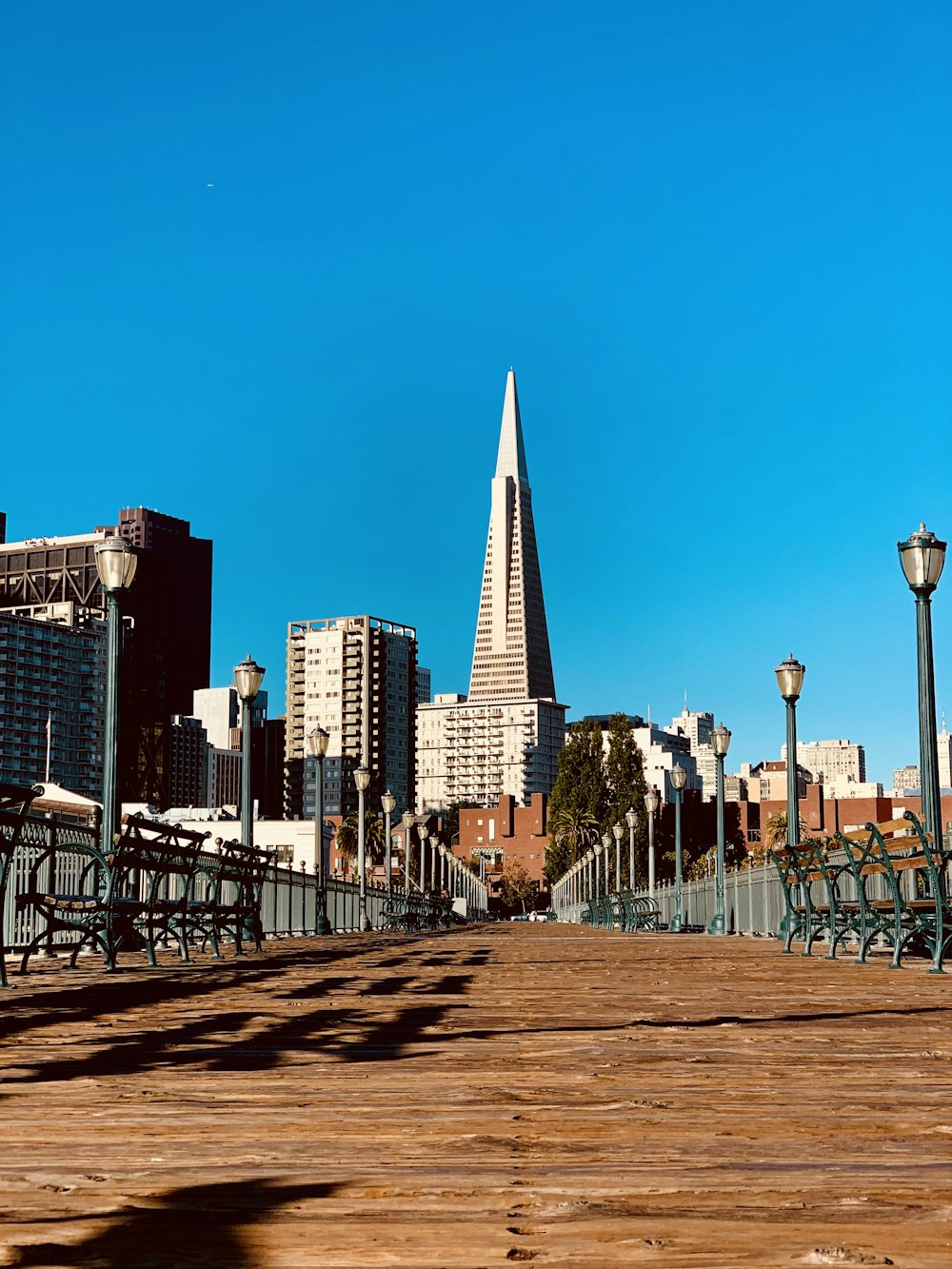 brown dock near high-rise building