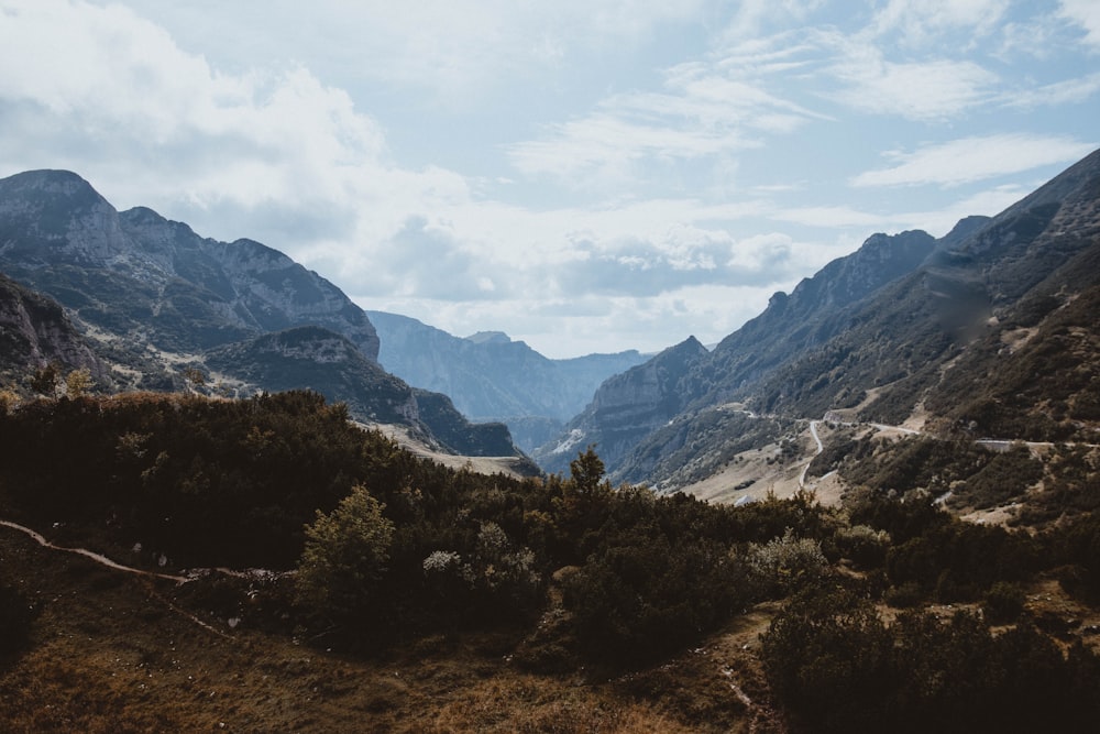 mountains covered with green trees under white clouds