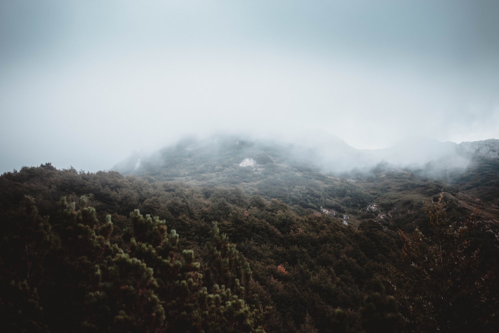 a mountain covered in fog and low lying clouds