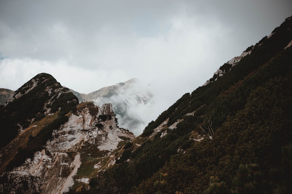 mountain covered with fogs during daytime