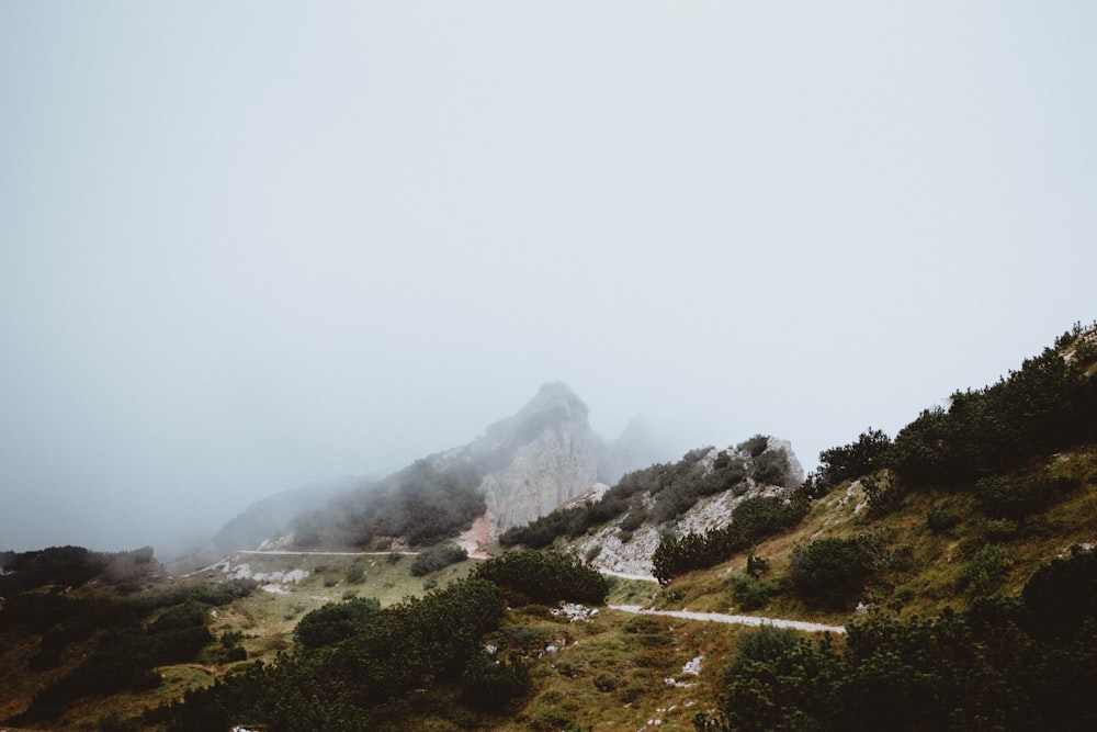 mountain covered in fog