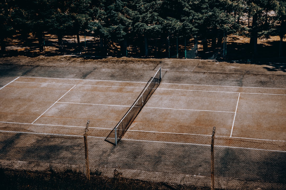 tennis court near trees,