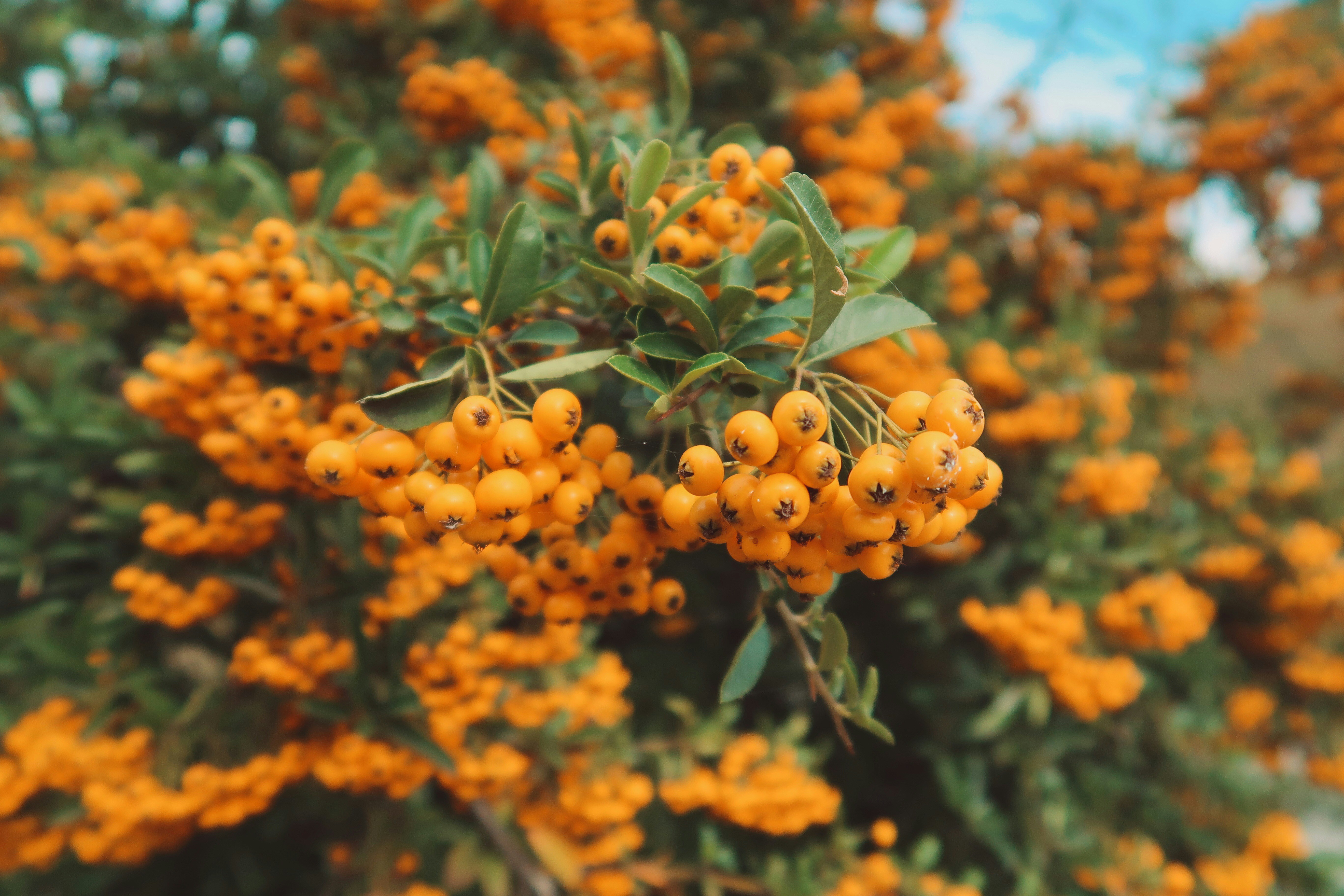 Photo by allexandrraaa