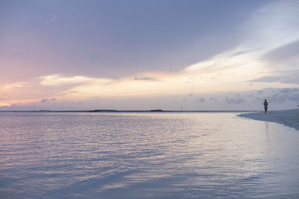 person walking on shore during day