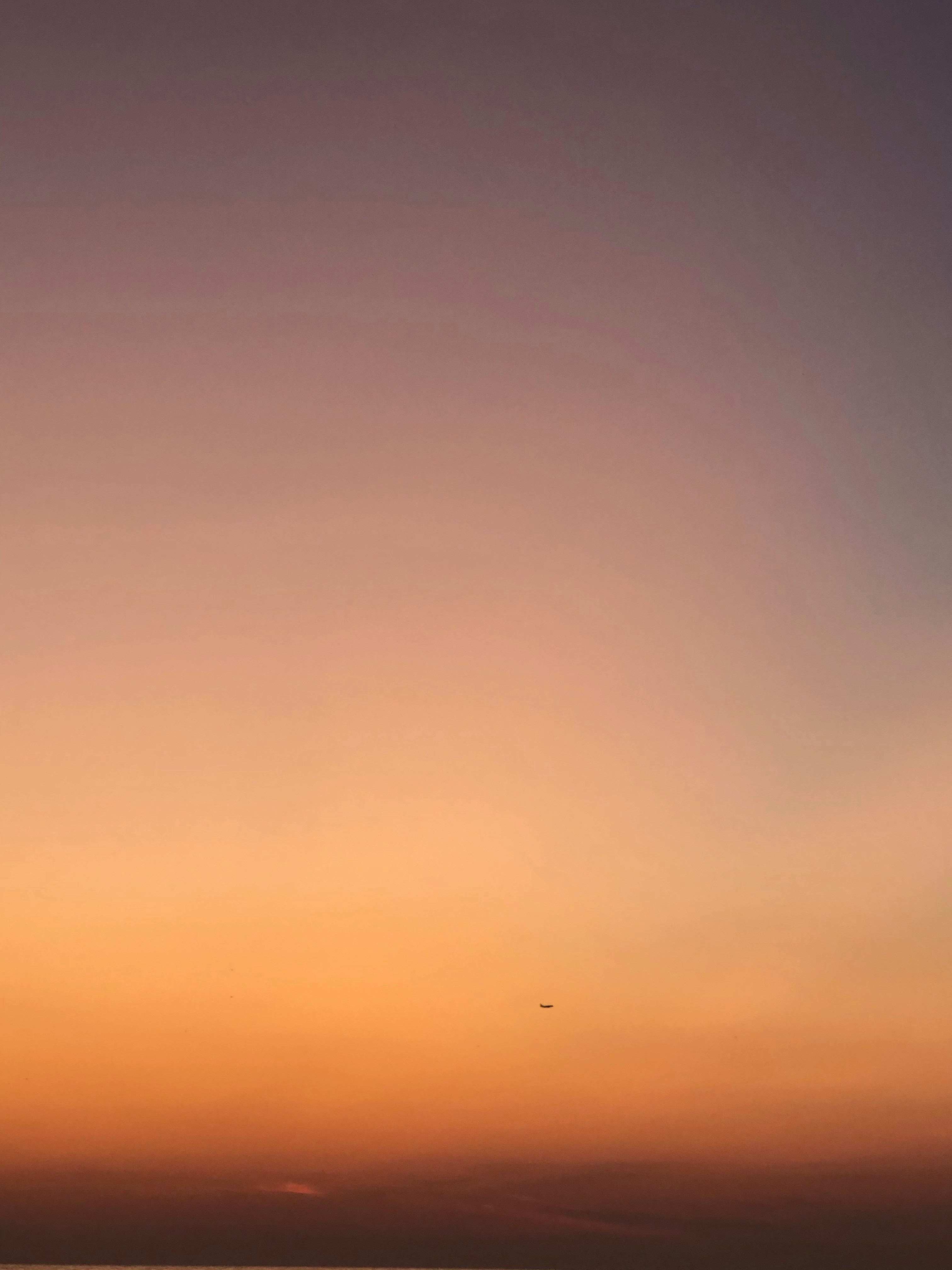 Photo by artmilitonian