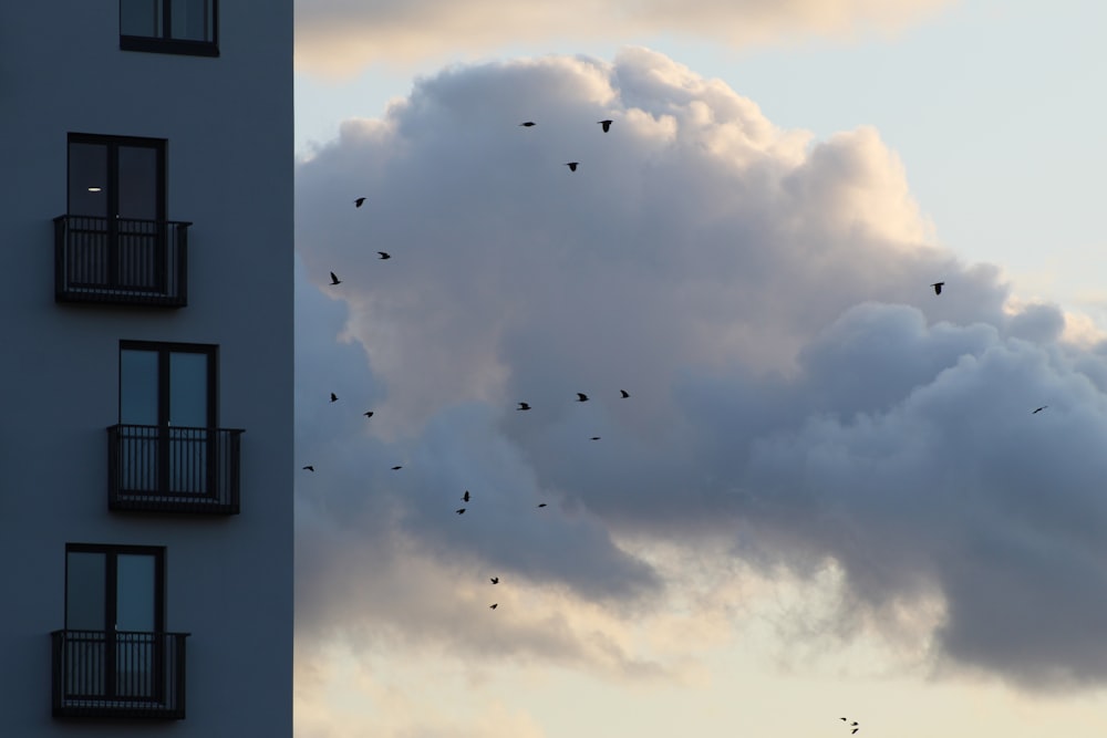 a flock of birds flying in the sky next to a tall building