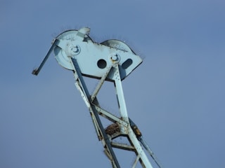 A technician installing bird spikes on a rooftop to prevent nesting.