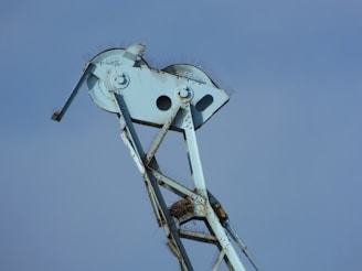 Bird spikes installed on a rooftop to prevent nesting.