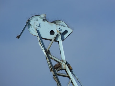 A technician installing bird spikes on a rooftop to prevent nesting.