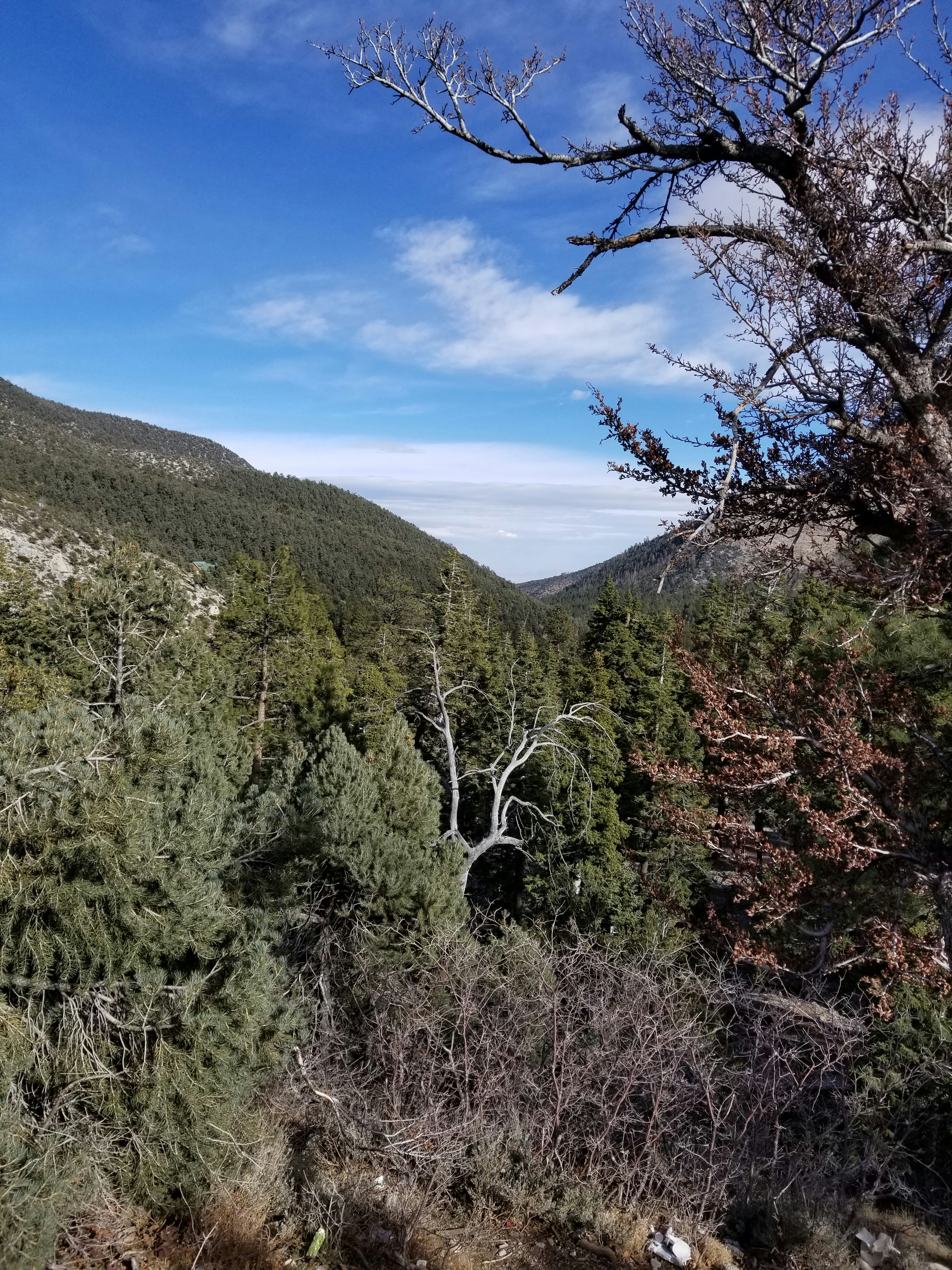 Photo by a7204925265