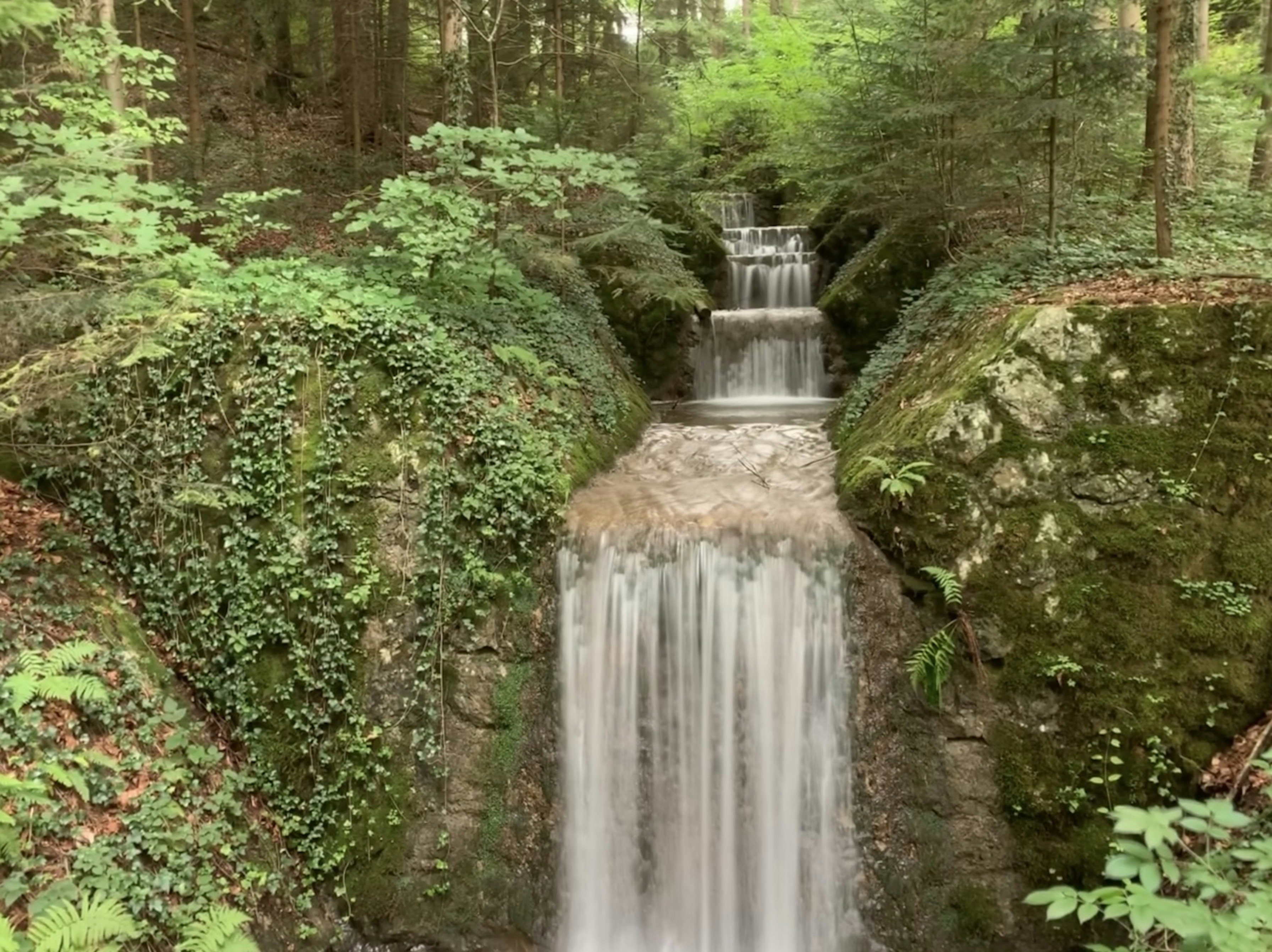 Photo by lookingglass