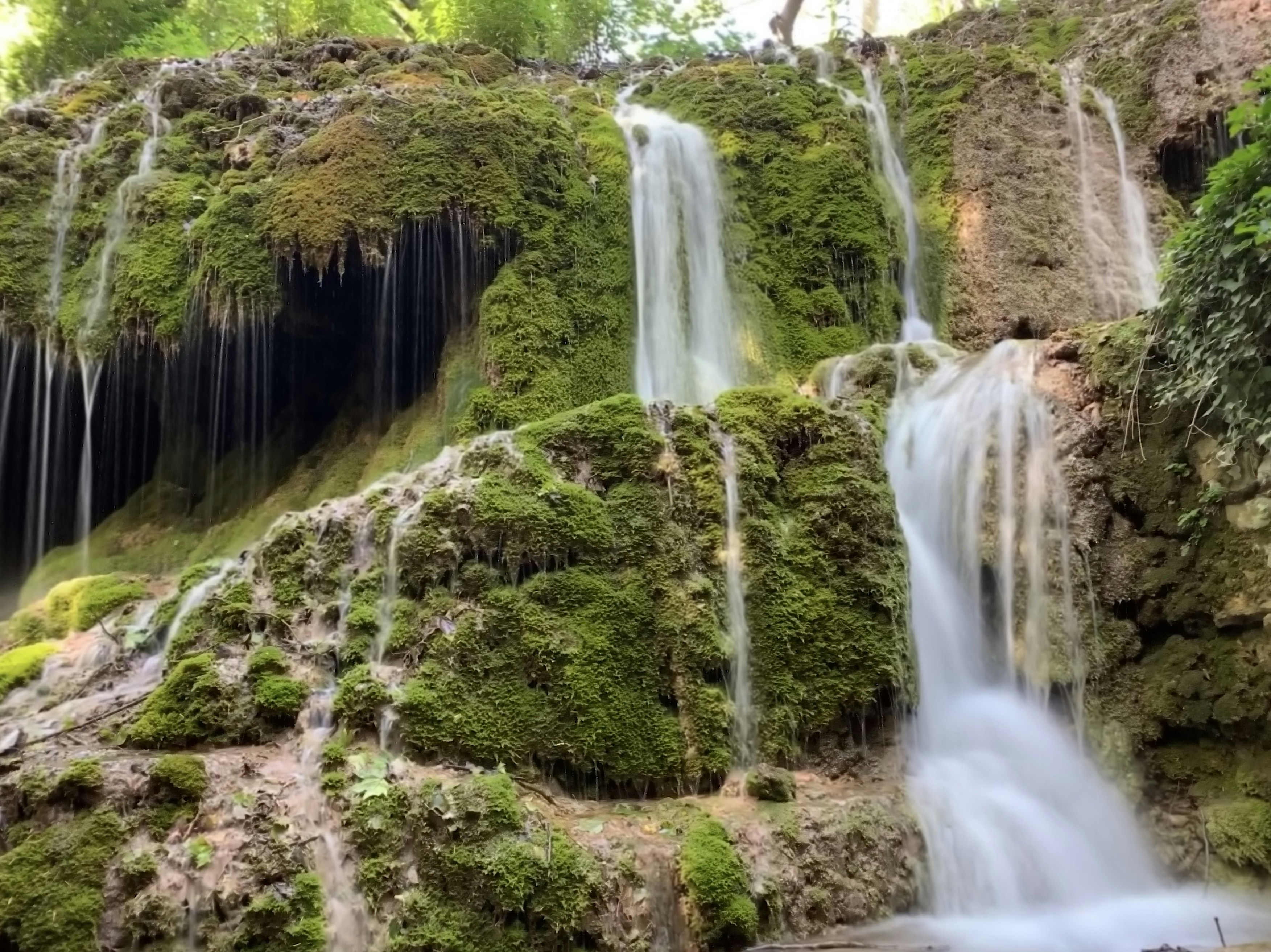 Photo by lookingglass