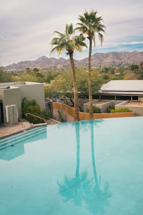 A sleek modern swimming pool with clear blue water surrounded by tropical plants at sunset.