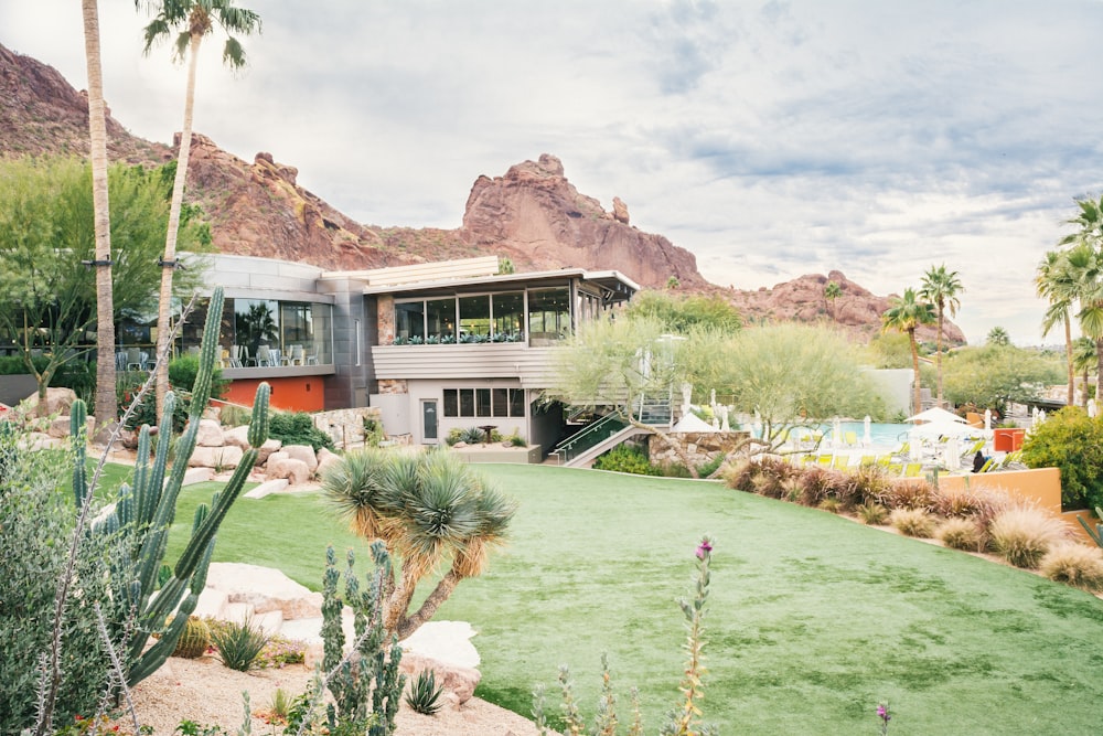 gray house on green grass