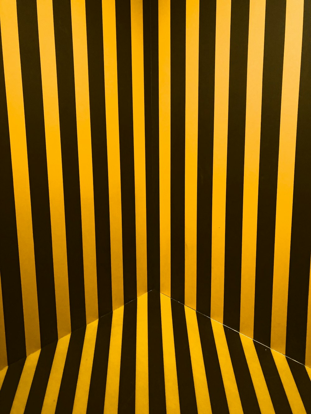 black and yellow striped cover