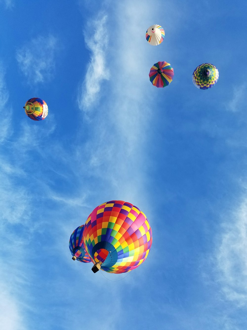 close-up photography of hot hair balloons