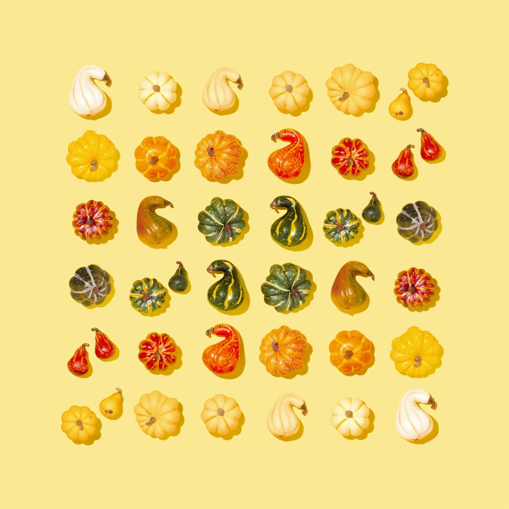 assorted squash illustration