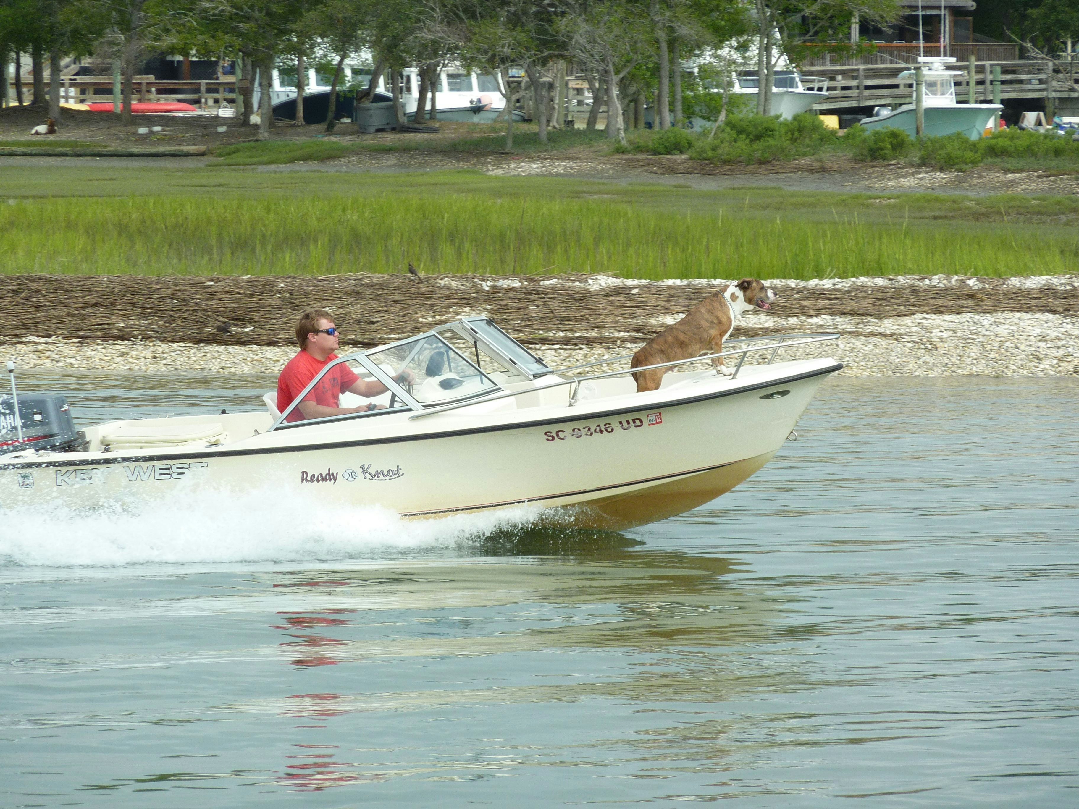 Coast Guard Mostly Saves Very Stupid People, Study Finds