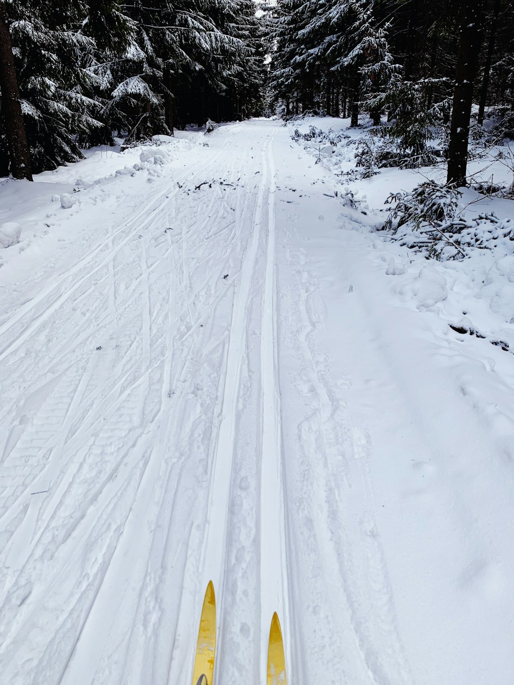 pair of yellow snow skis on snow