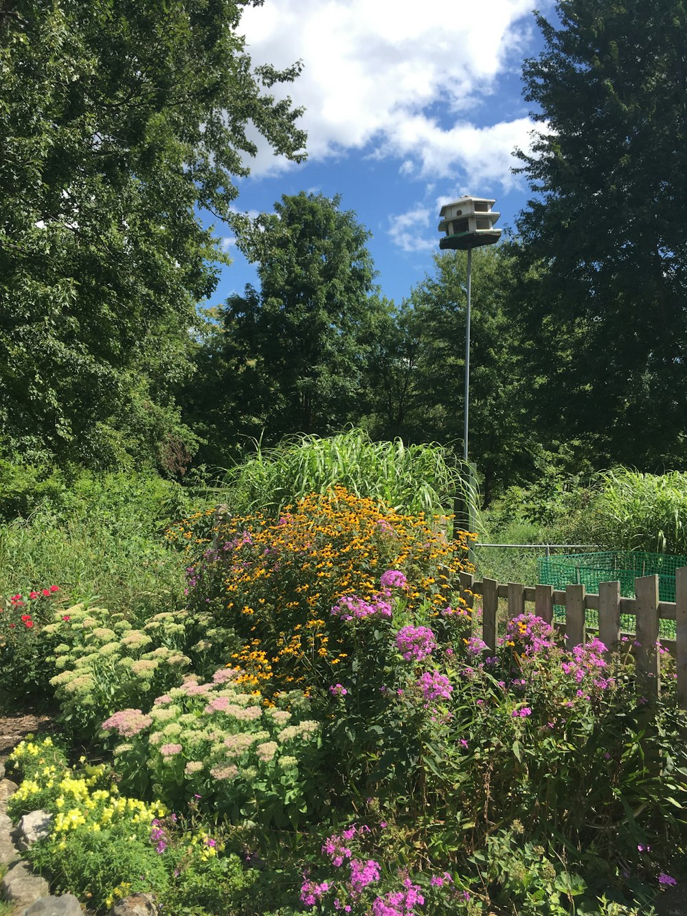 assorted flowers