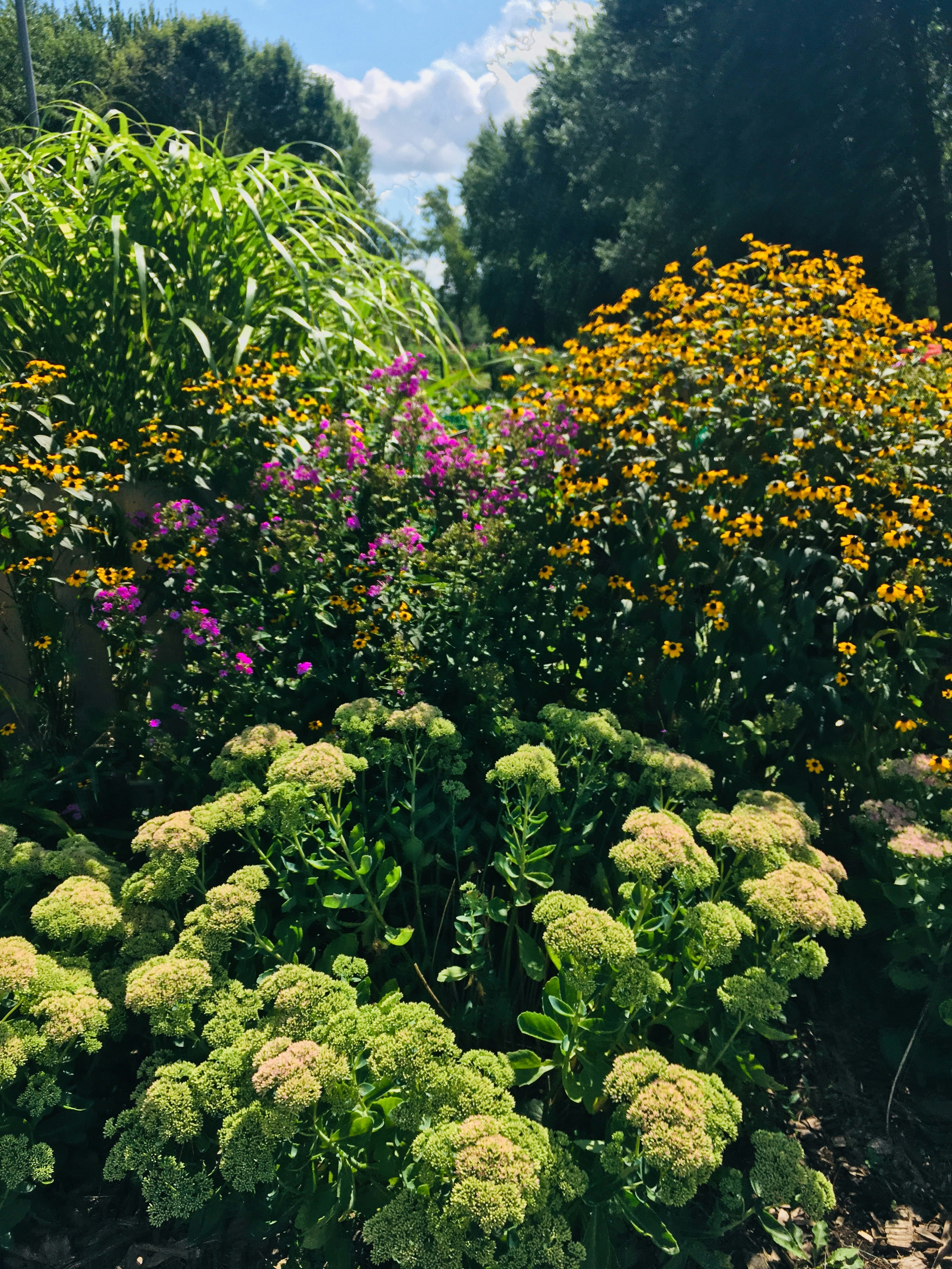 Photo by tvillalobos